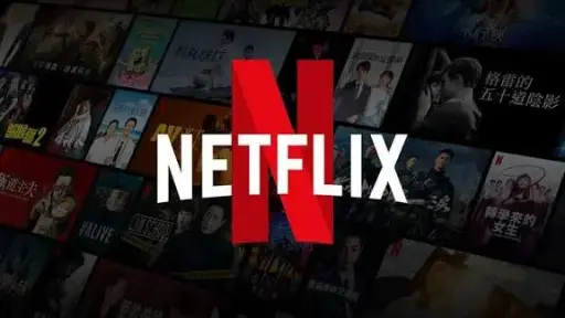 [0002] Netflix perfil 30 dias